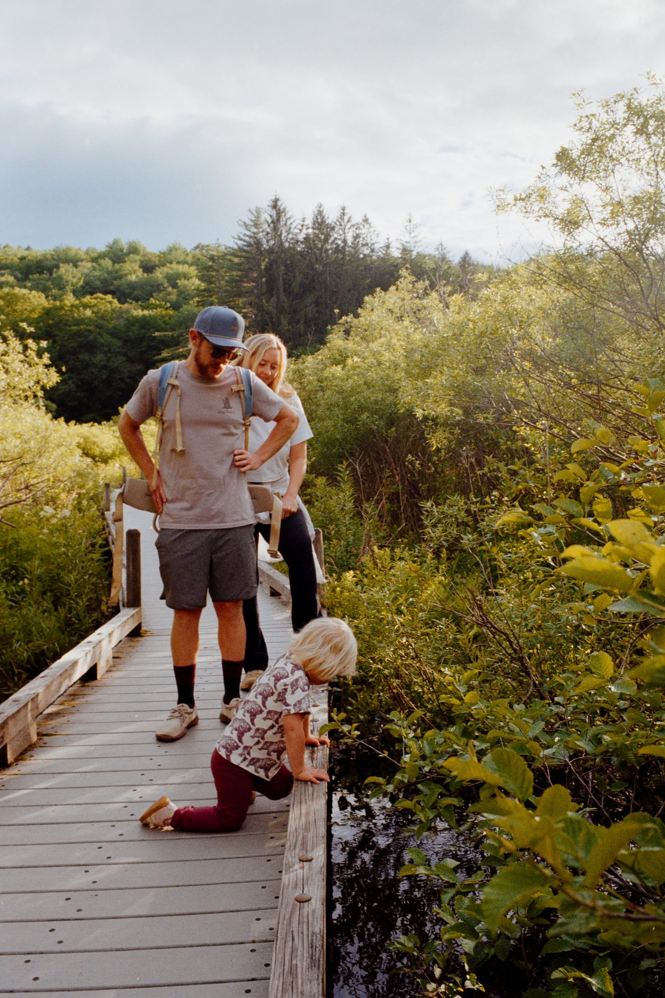 Family hiking on a boardwalk trail in Vermont